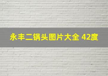 永丰二锅头图片大全 42度